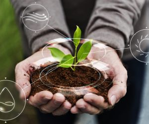 Smart agriculture IoT with hand planting tree background